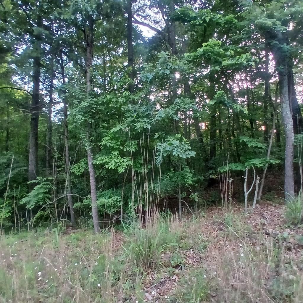 Tr'3 Raven Cliff Road, Talking Rock GA 30175 - Photo