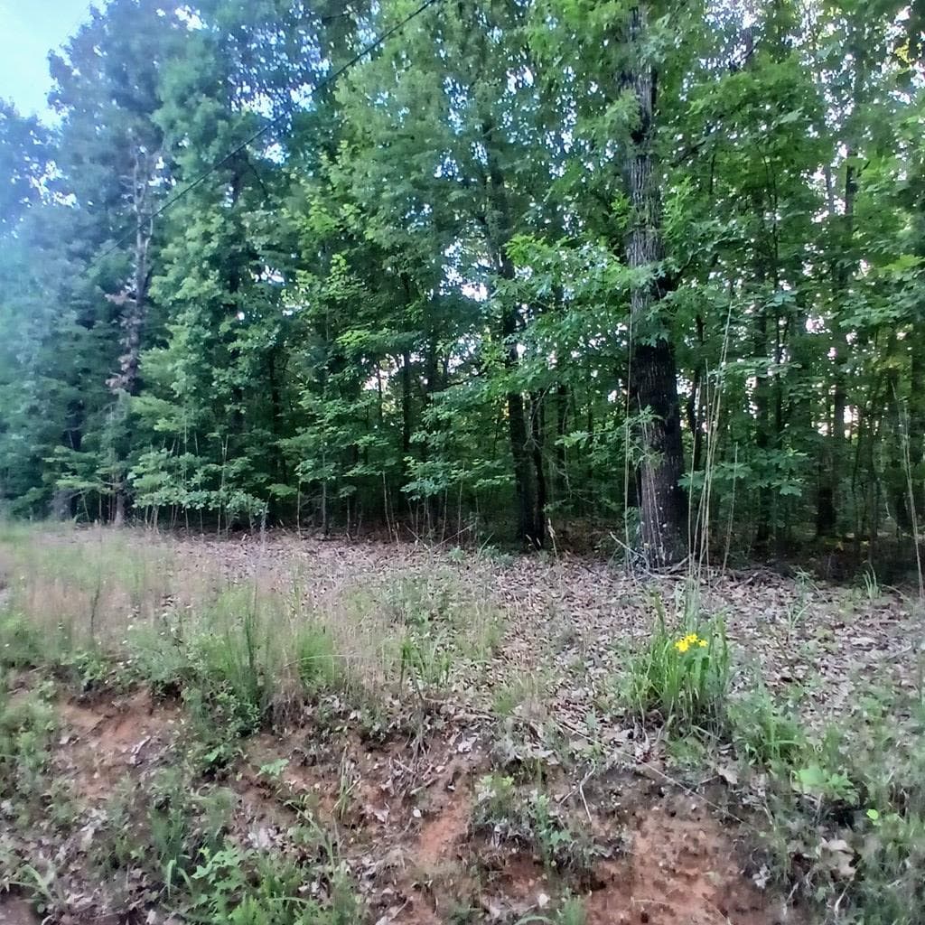Tr'3 Raven Cliff Road, Talking Rock GA 30175 - Photo