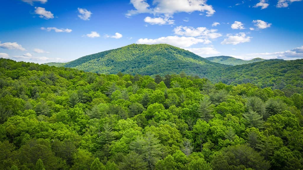 0 Morganton Hwy, Suches GA 30572 - Photo