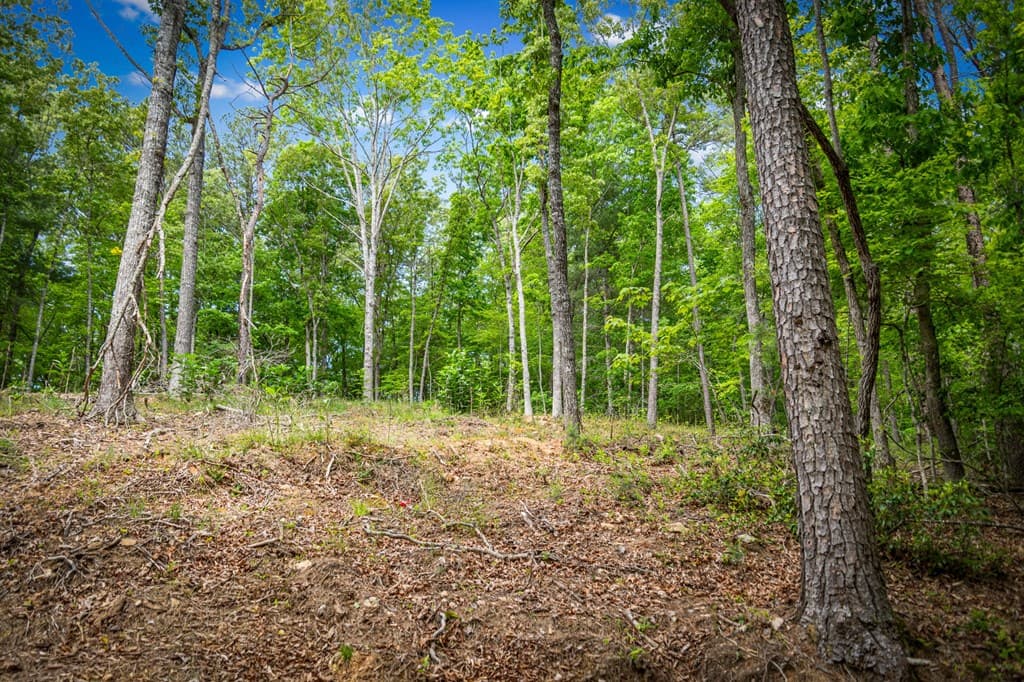 0 Morganton Hwy, Suches GA 30572 - Photo