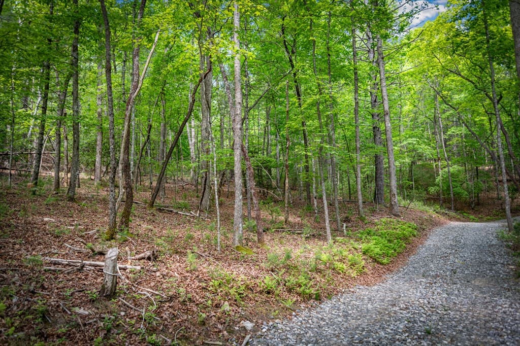 0 Morganton Hwy, Suches GA 30572 - Photo