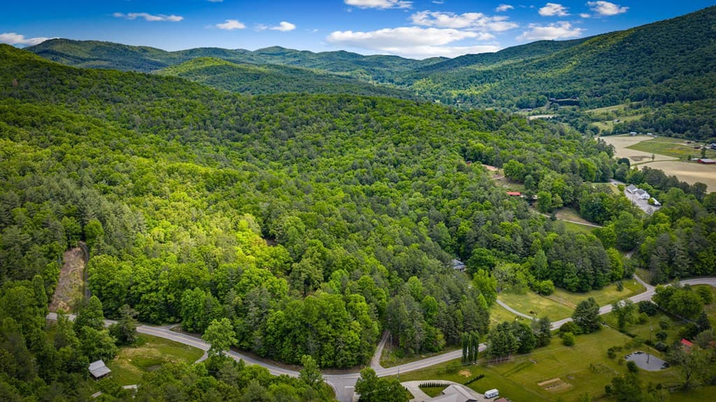 0 Morganton Hwy, Suches GA 30572 - Photo