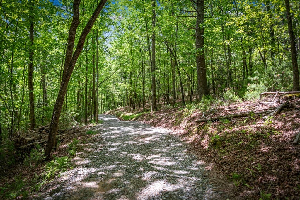 0 Morganton Hwy, Suches GA 30572 - Photo