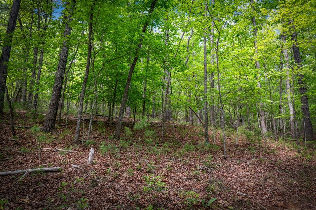 0 Morganton Hwy, Suches GA 30572 - Photo