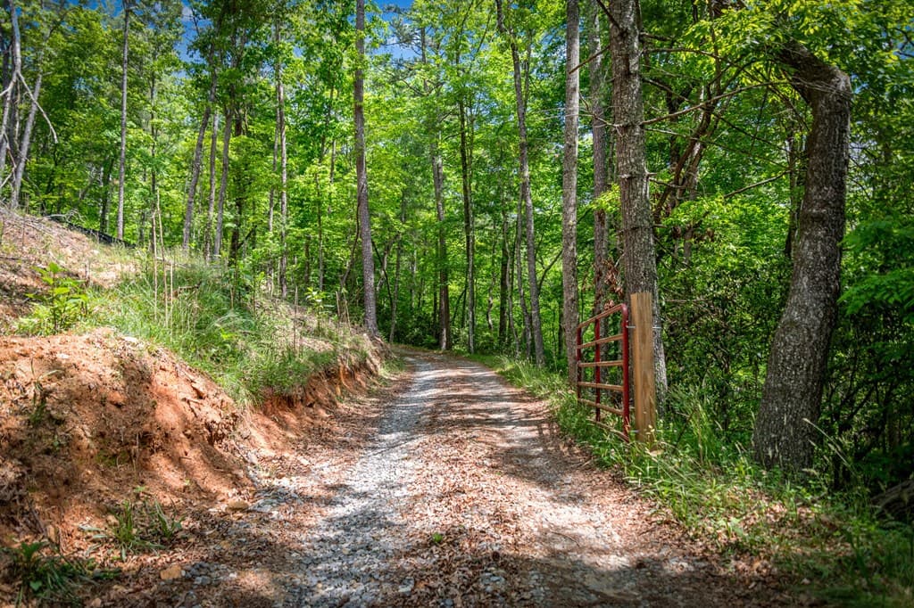 0 Morganton Hwy, Suches GA 30572 - Photo