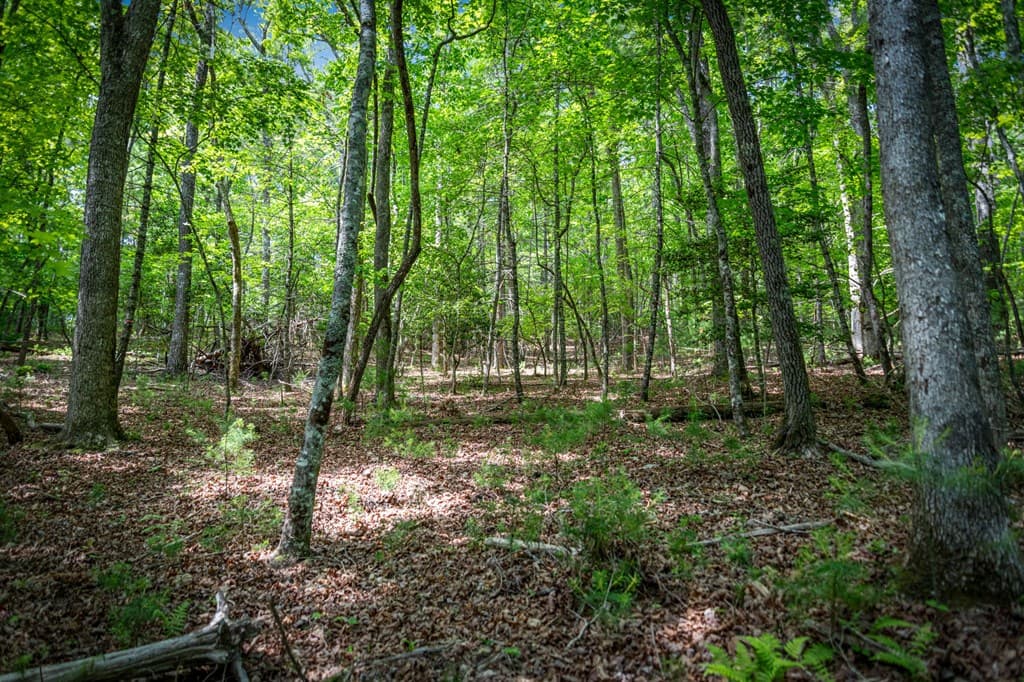 0 Morganton Hwy, Suches GA 30572 - Photo