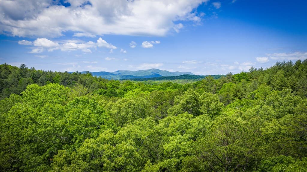 0 Morganton Hwy, Suches GA 30572 - Photo