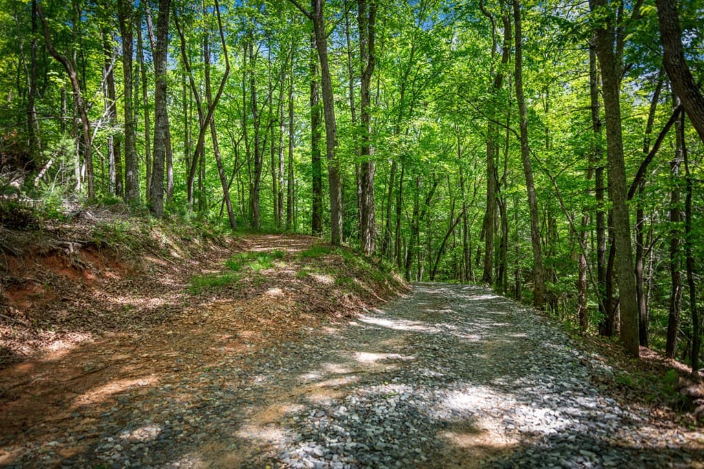 0 Morganton Hwy, Suches GA 30572 - Photo