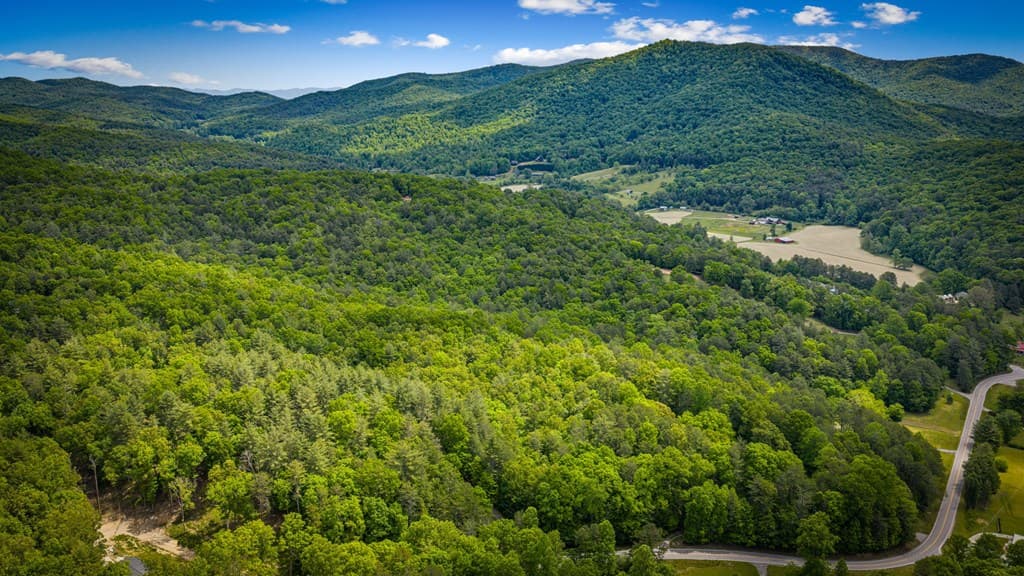 0 Morganton Hwy, Suches GA 30572 - Photo