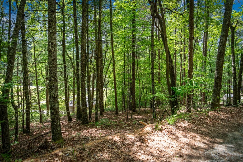 0 Morganton Hwy, Suches GA 30572 - Photo