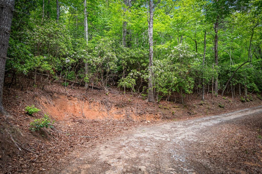 0 Morganton Hwy, Suches GA 30572 - Photo