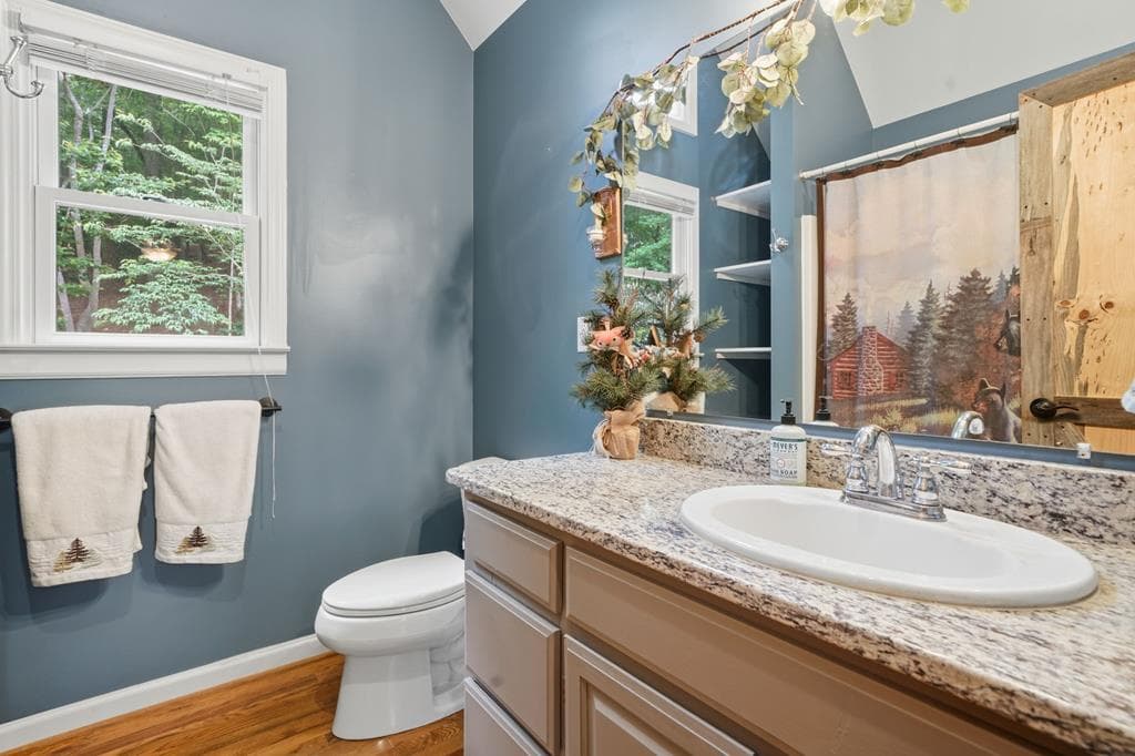 165 Amelia Lane, Blue Ridge GA 30513 - Photo