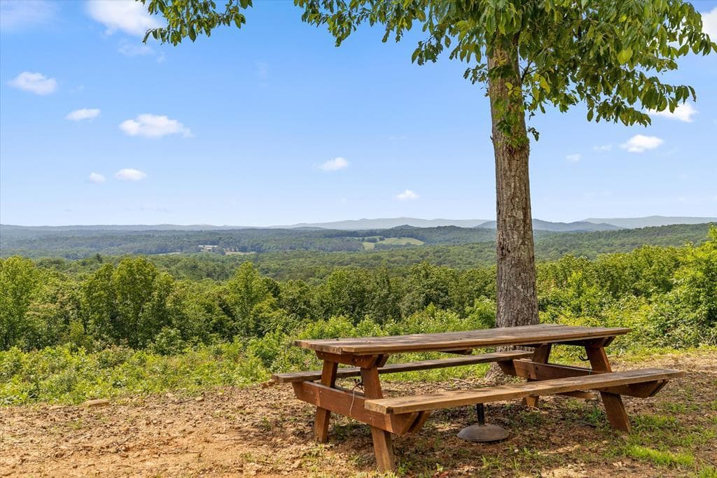 Lot 108 Twisted Oak Road, Talking Rock GA 30175 - Photo