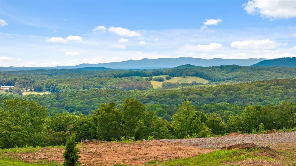 Lot 108 Twisted Oak Road, Talking Rock GA 30175 - Photo
