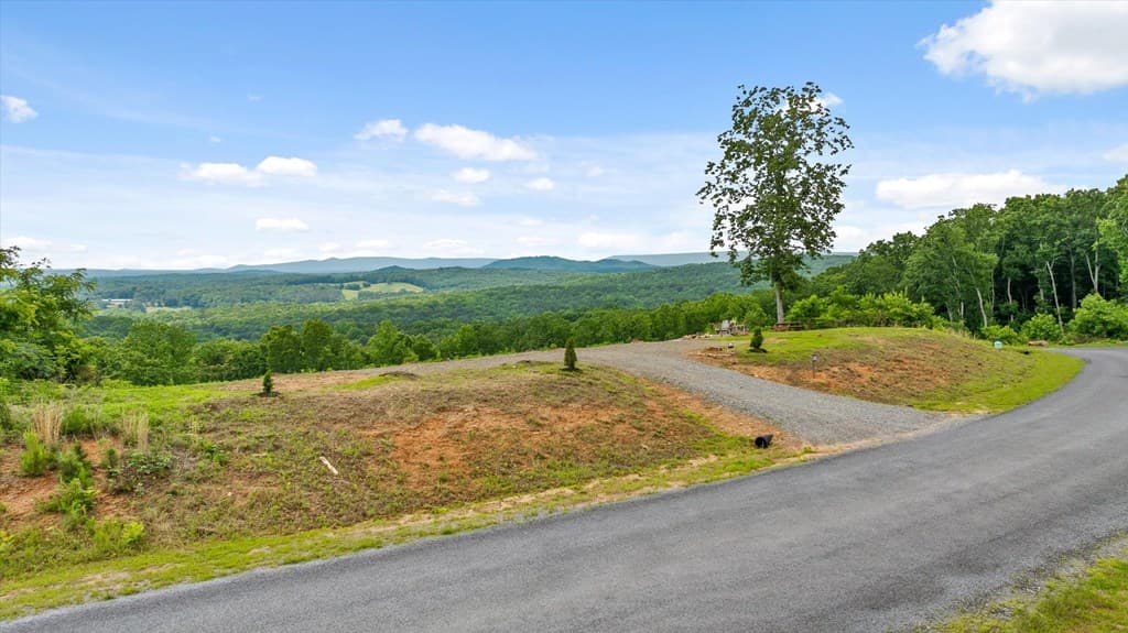 Lot 108 Twisted Oak Road, Talking Rock GA 30175 - Photo