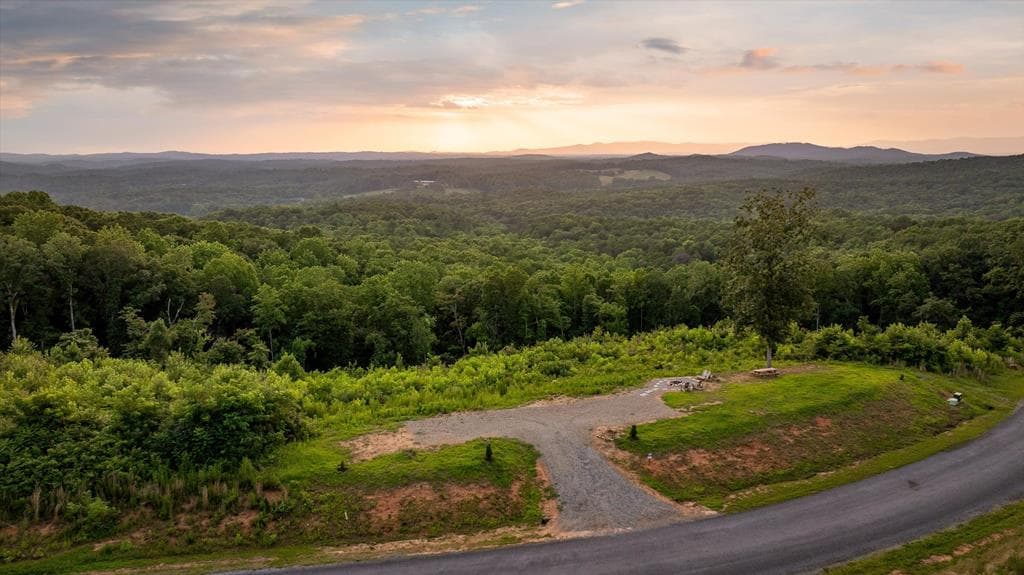Lot 108 Twisted Oak Road, Talking Rock GA 30175 - Photo