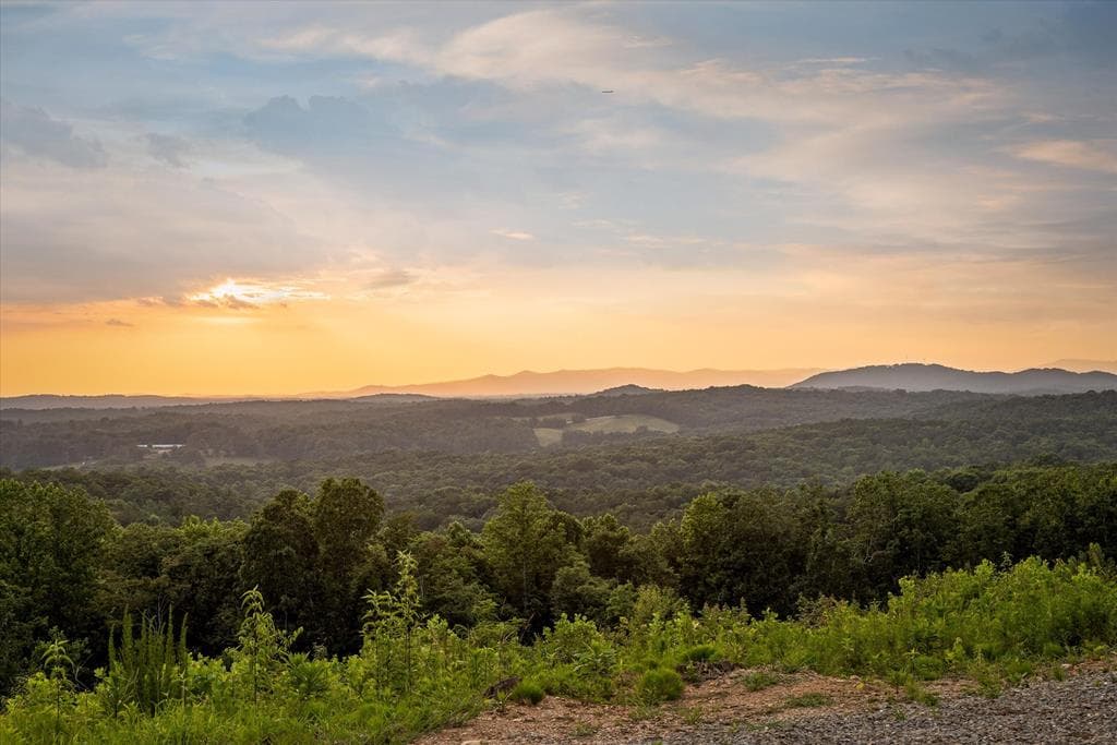 Lot 108 Twisted Oak Road, Talking Rock GA 30175 - Photo