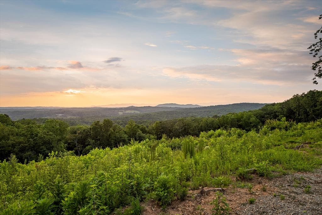 Lot 108 Twisted Oak Road, Talking Rock GA 30175 - Photo