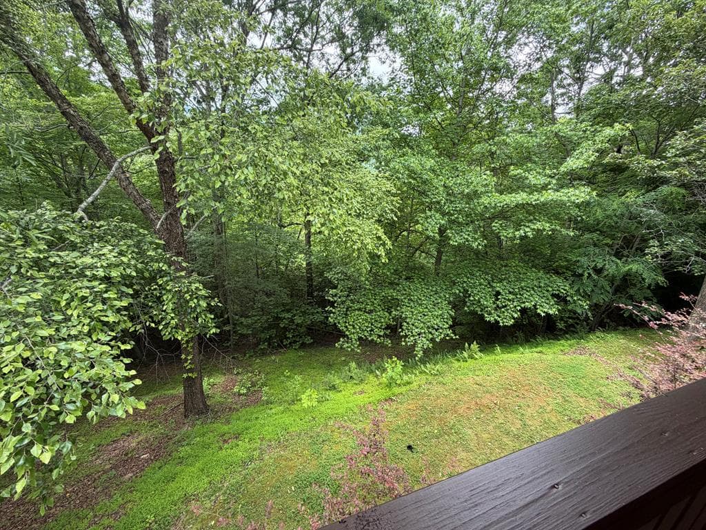 728 Deer Lane, Hiawassee GA 30546 - Photo