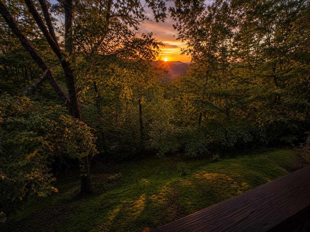 728 Deer Lane, Hiawassee GA 30546 - Photo