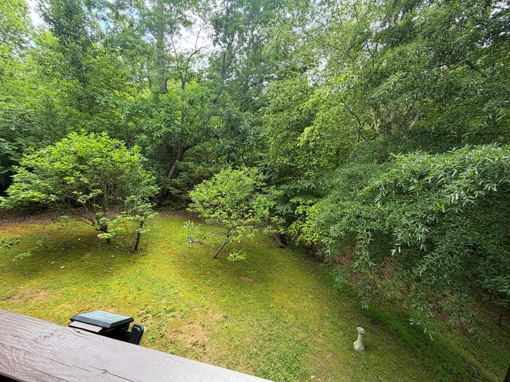 728 Deer Lane, Hiawassee GA 30546 - Photo