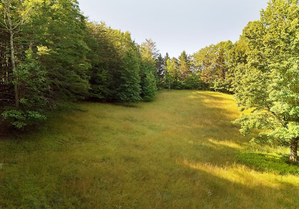175 Bell Road, Mineral Bluff GA 30559 - Photo