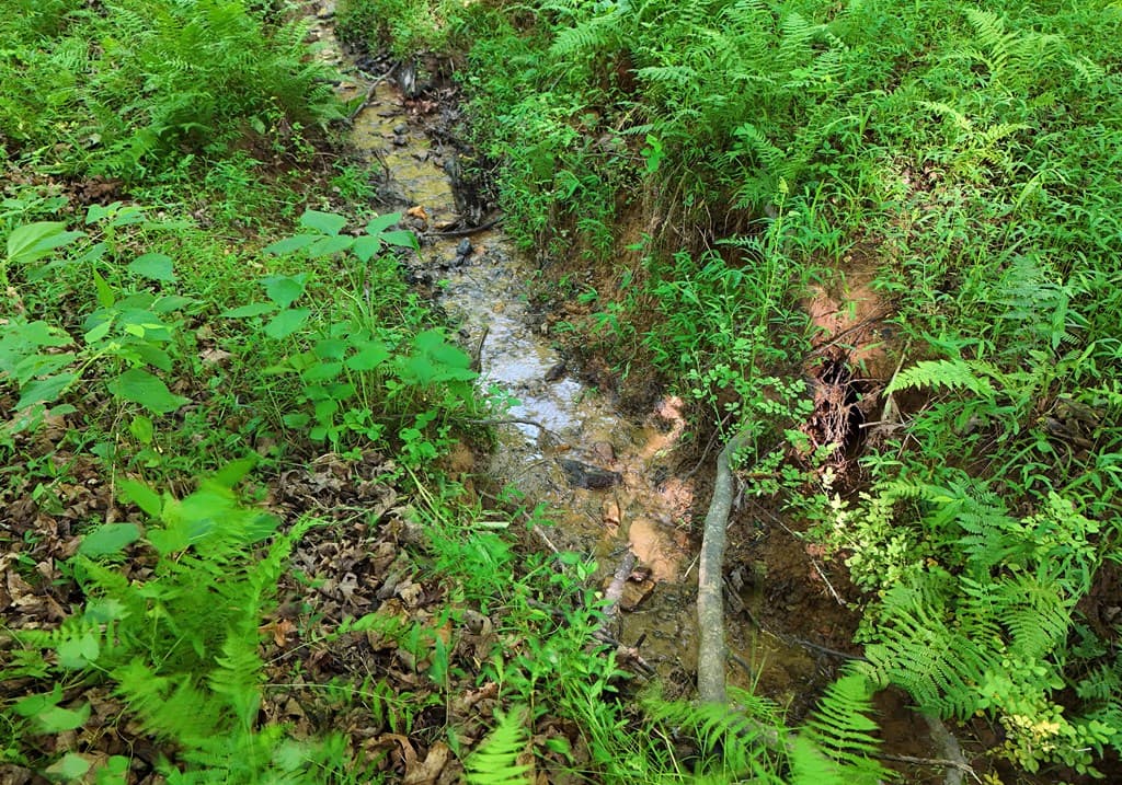 175 Bell Road, Mineral Bluff GA 30559 - Photo