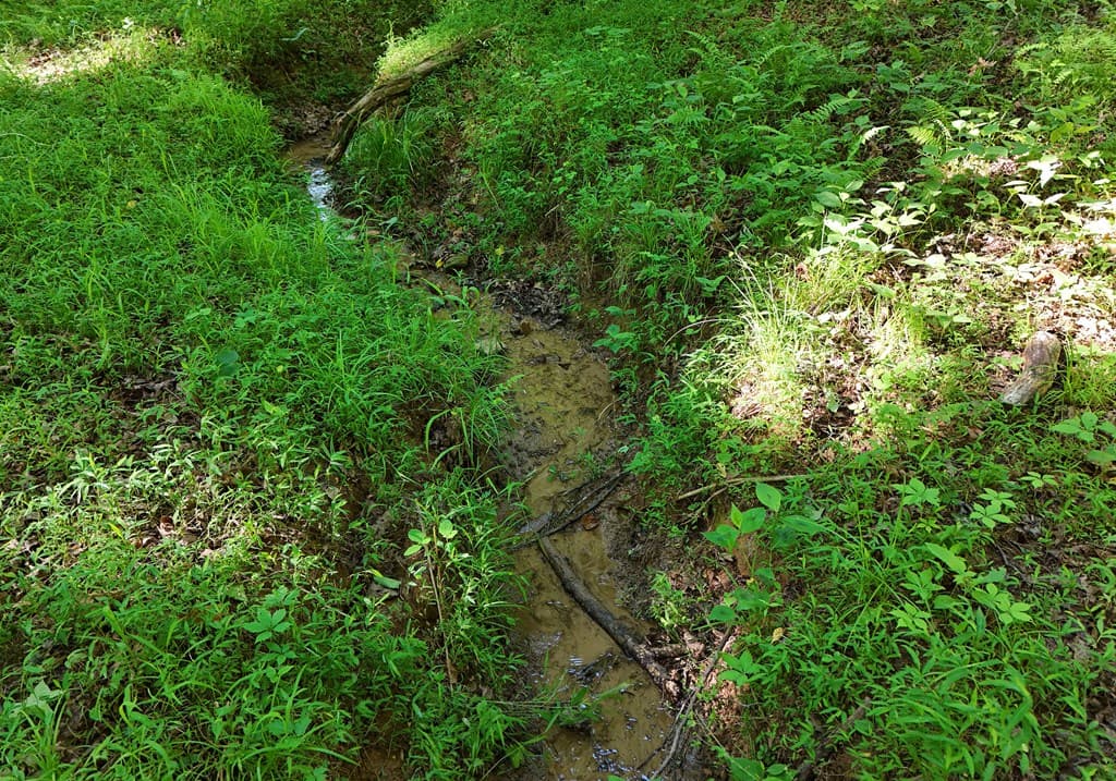 175 Bell Road, Mineral Bluff GA 30559 - Photo