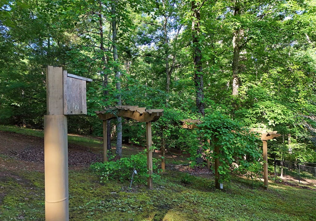 175 Bell Road, Mineral Bluff GA 30559 - Photo