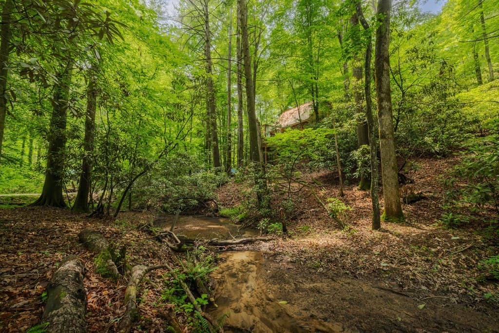 14 Finch Lane, Cherry Log GA 30522 - Photo