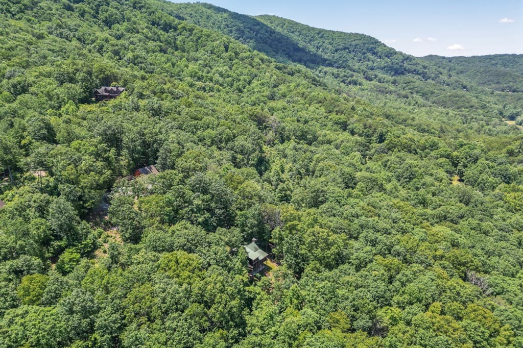 801 Davenport Mountain Road, Blue Ridge GA 30513 - Photo