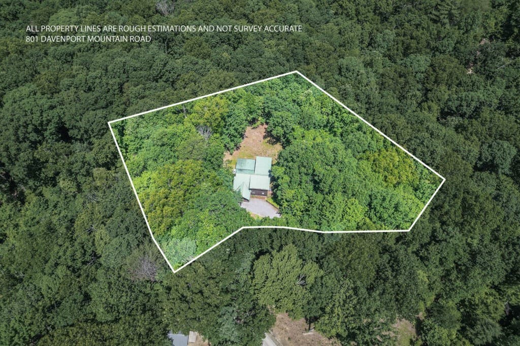 801 Davenport Mountain Road, Blue Ridge GA 30513 - Photo