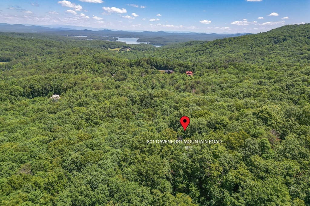 801 Davenport Mountain Road, Blue Ridge GA 30513 - Photo