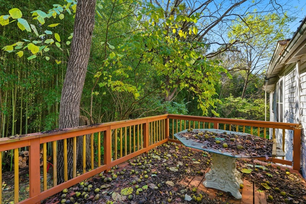 348 Old Tate Road, Jasper GA 30143 - Photo