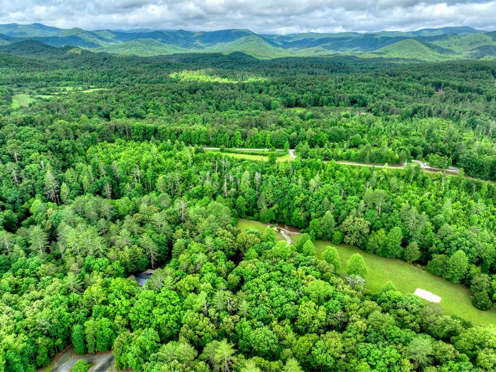 186 Dogwood Drive, Epworth GA 30541 - Photo