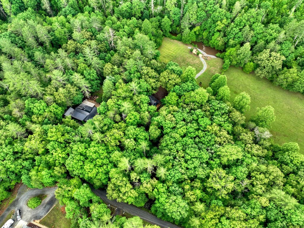 186 Dogwood Drive, Epworth GA 30541 - Photo
