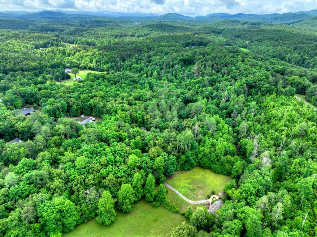 186 Dogwood Drive, Epworth GA 30541 - Photo