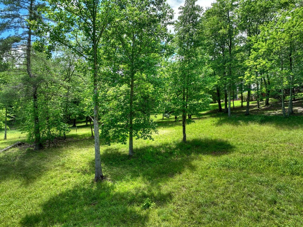 94 Old Place Drive, Blue Ridge GA 30513 - Photo