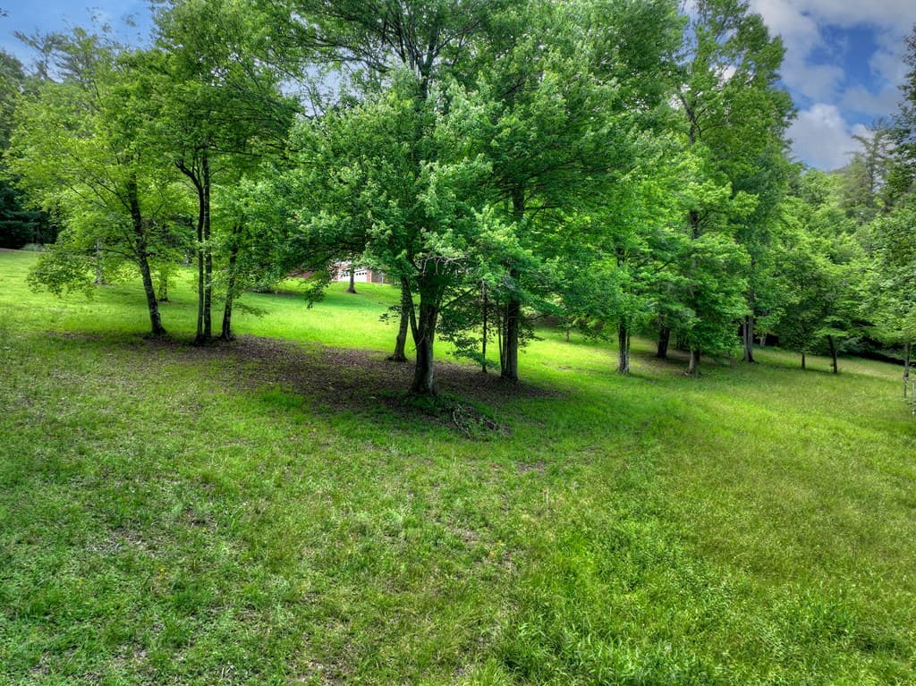 94 Old Place Drive, Blue Ridge GA 30513 - Photo
