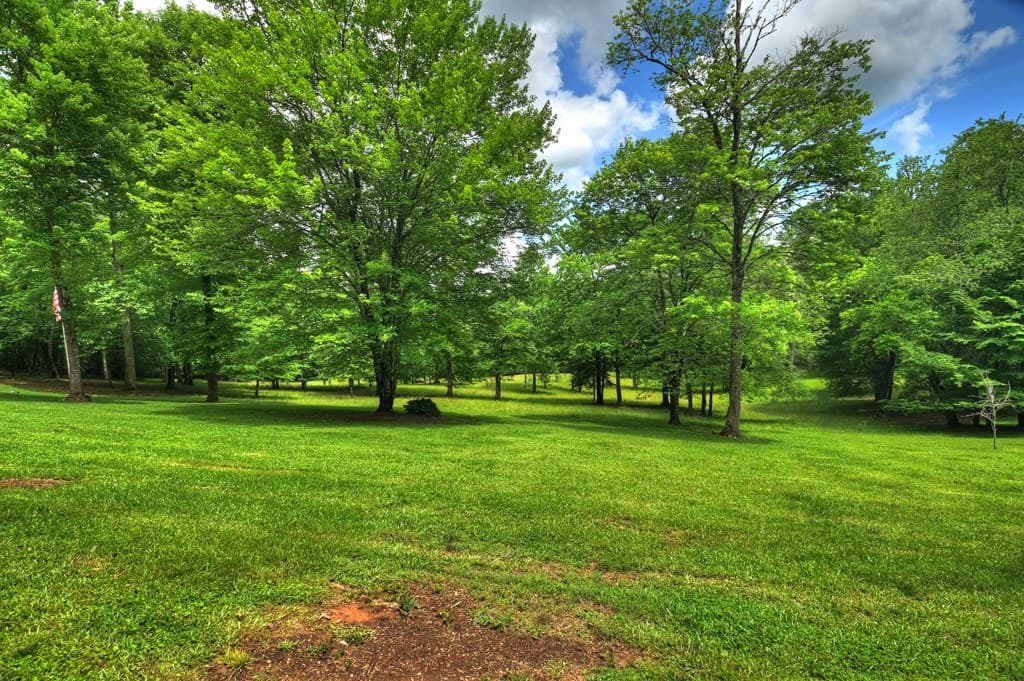 94 Old Place Drive, Blue Ridge GA 30513 - Photo