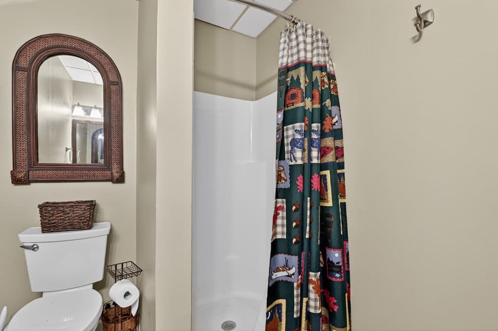 94 Old Place Drive, Blue Ridge GA 30513 - Photo