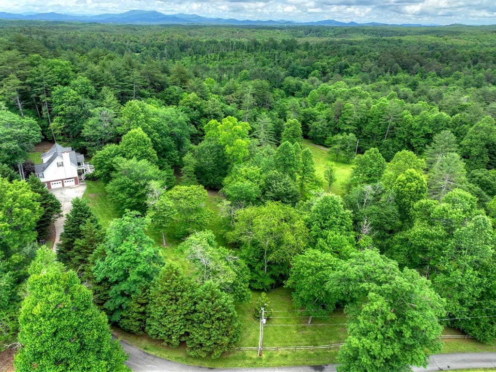 94 Old Place Drive, Blue Ridge GA 30513 - Photo