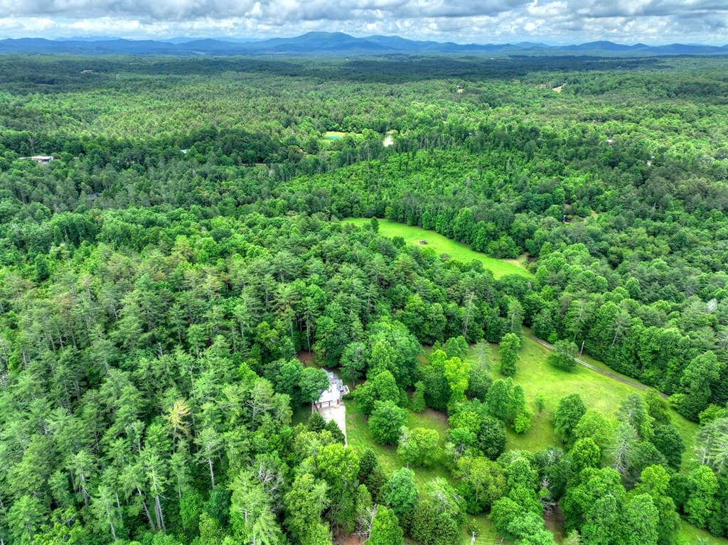 94 Old Place Drive, Blue Ridge GA 30513 - Photo