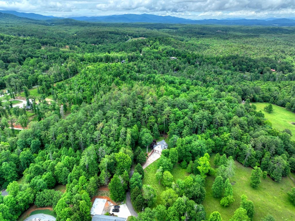 94 Old Place Drive, Blue Ridge GA 30513 - Photo