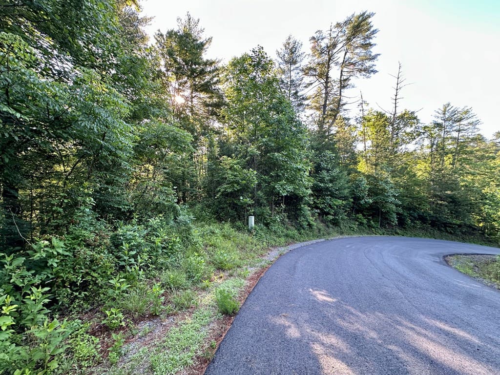 Lot 103 Rhondas Way, Ellijay GA 30540 - Photo