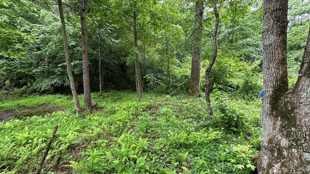 Lot 103 Rhondas Way, Ellijay GA 30540 - Photo