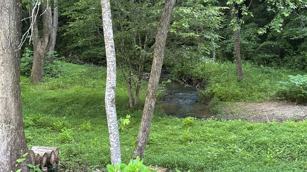Lot 103 Rhondas Way, Ellijay GA 30540 - Photo