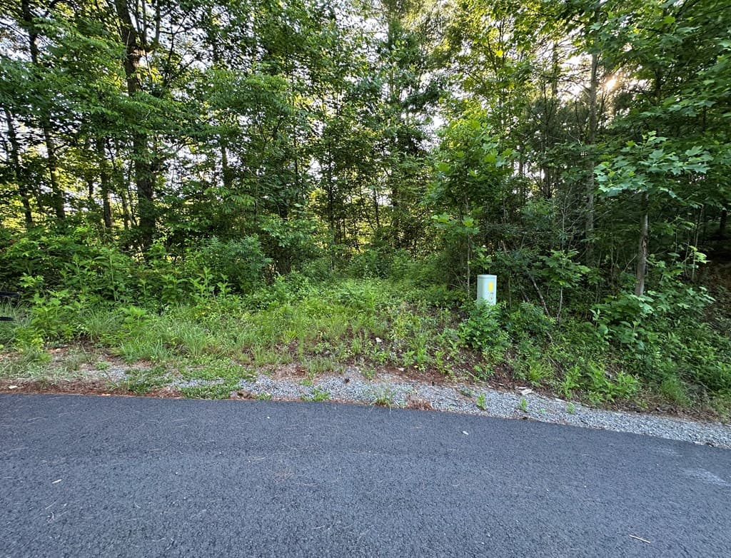 Lot 103 Rhondas Way, Ellijay GA 30540 - Photo