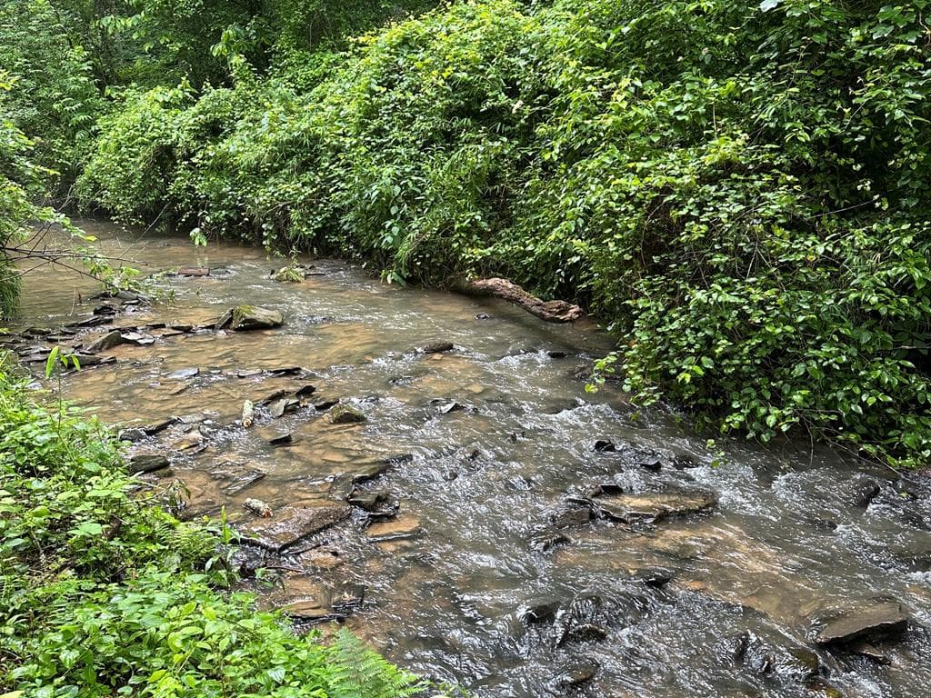 Lot 103 Rhondas Way, Ellijay GA 30540 - Primary photo