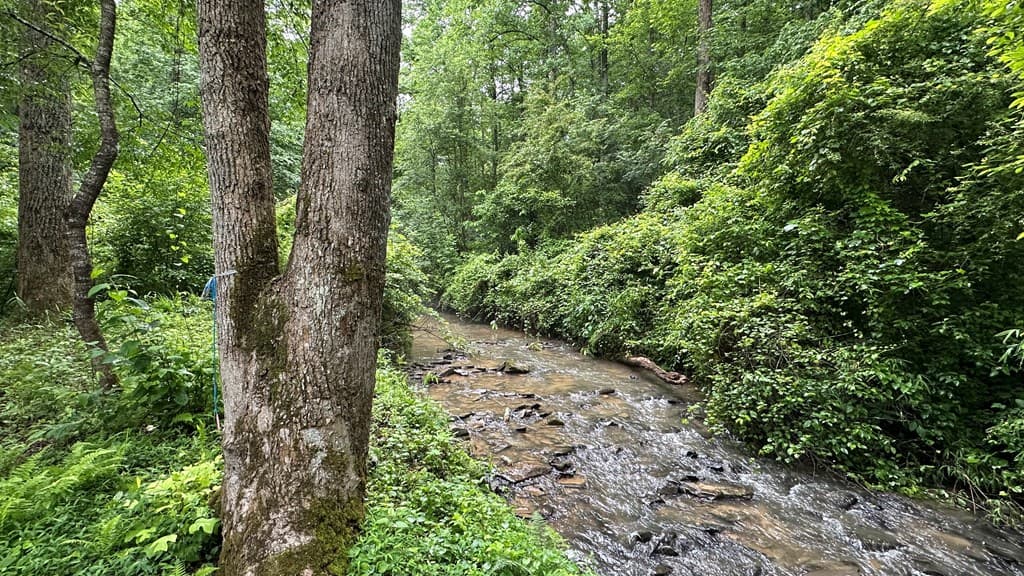 Lot 103 Rhondas Way, Ellijay GA 30540 - Photo